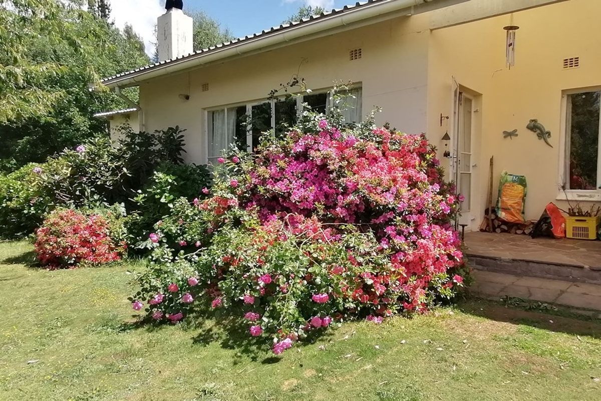 Apartment For Sale in Hogsback - Photo 5