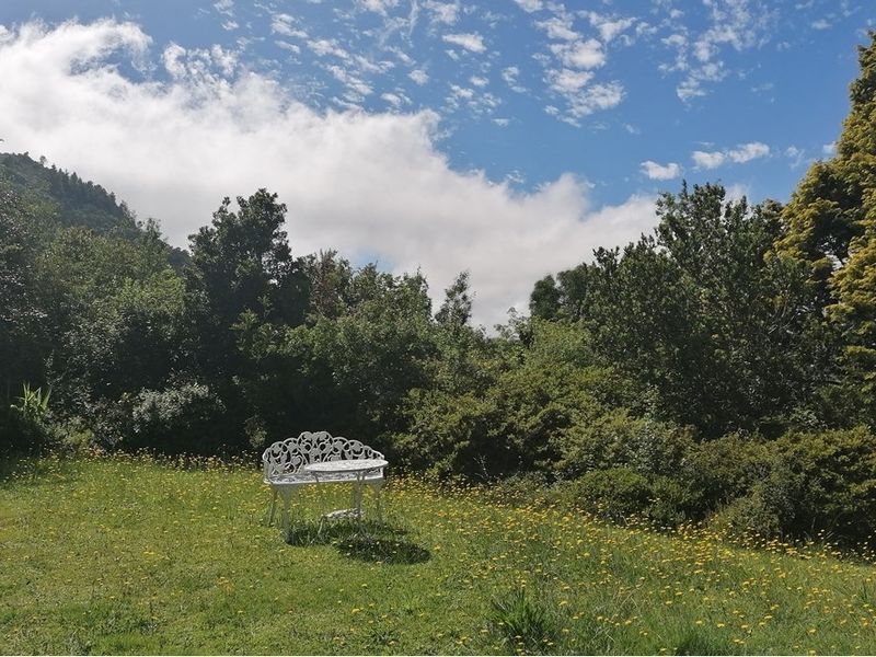 Apartment For Sale in Hogsback - Photo 9