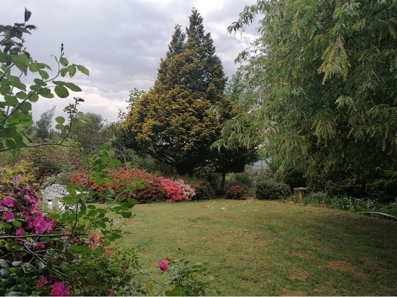 Apartment For Sale in Hogsback - Photo 7