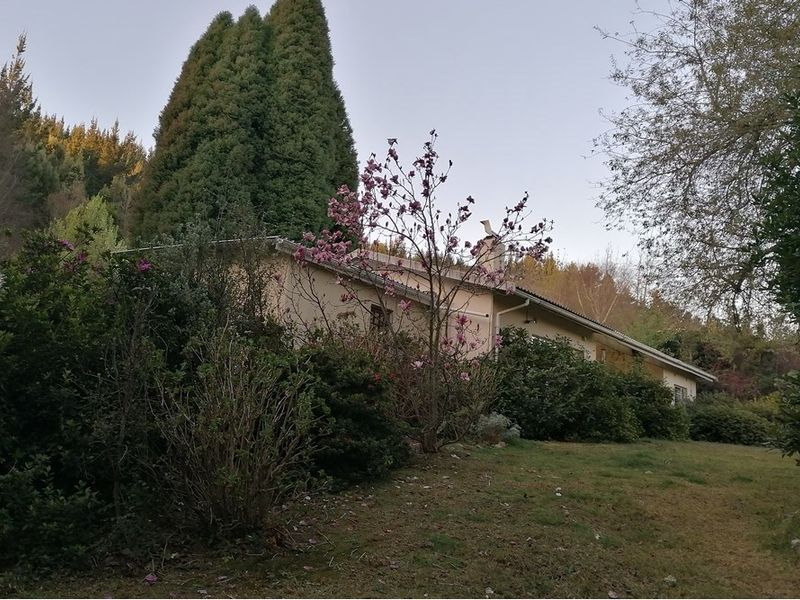 Apartment For Sale in Hogsback - Photo 6