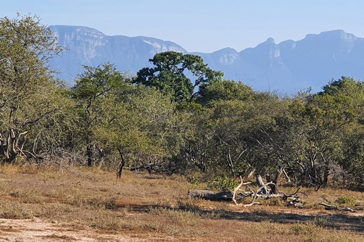 Vacant Land For Sale in Moditlo Nature Reserve, Hoedspruit - Photo 5