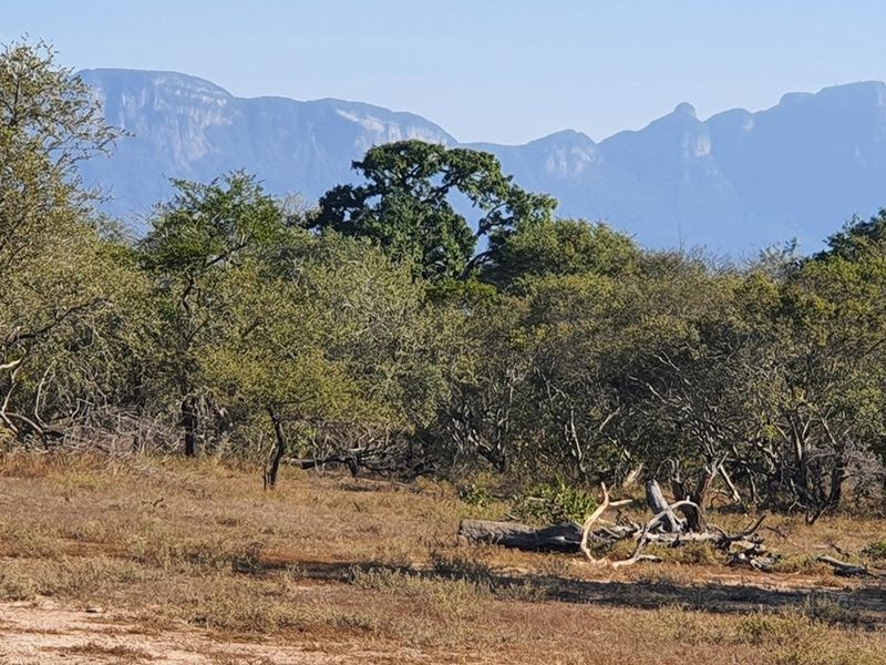 Vacant Land For Sale in Moditlo Nature Reserve, Hoedspruit - Photo 1