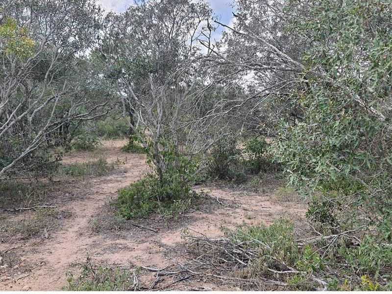 Vacant Land For Sale in Moditlo Nature Reserve, Hoedspruit - Photo 10