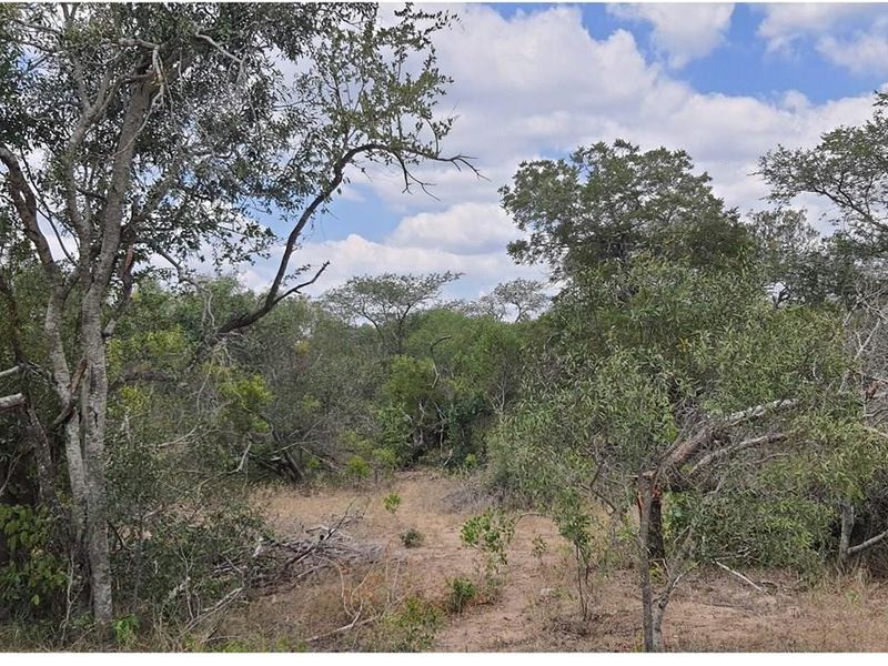 Vacant Land For Sale in Moditlo Nature Reserve, Hoedspruit - Photo 2