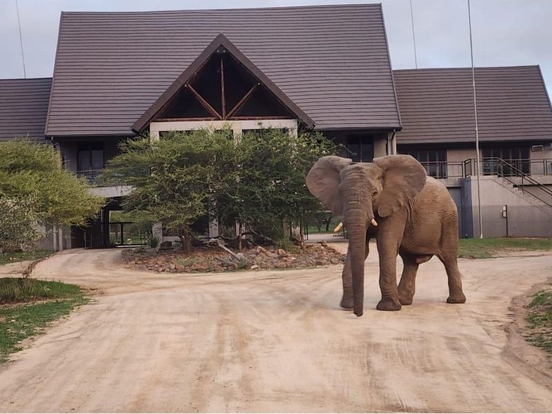 Vacant Land For Sale in Hoedspruit - Photo 3