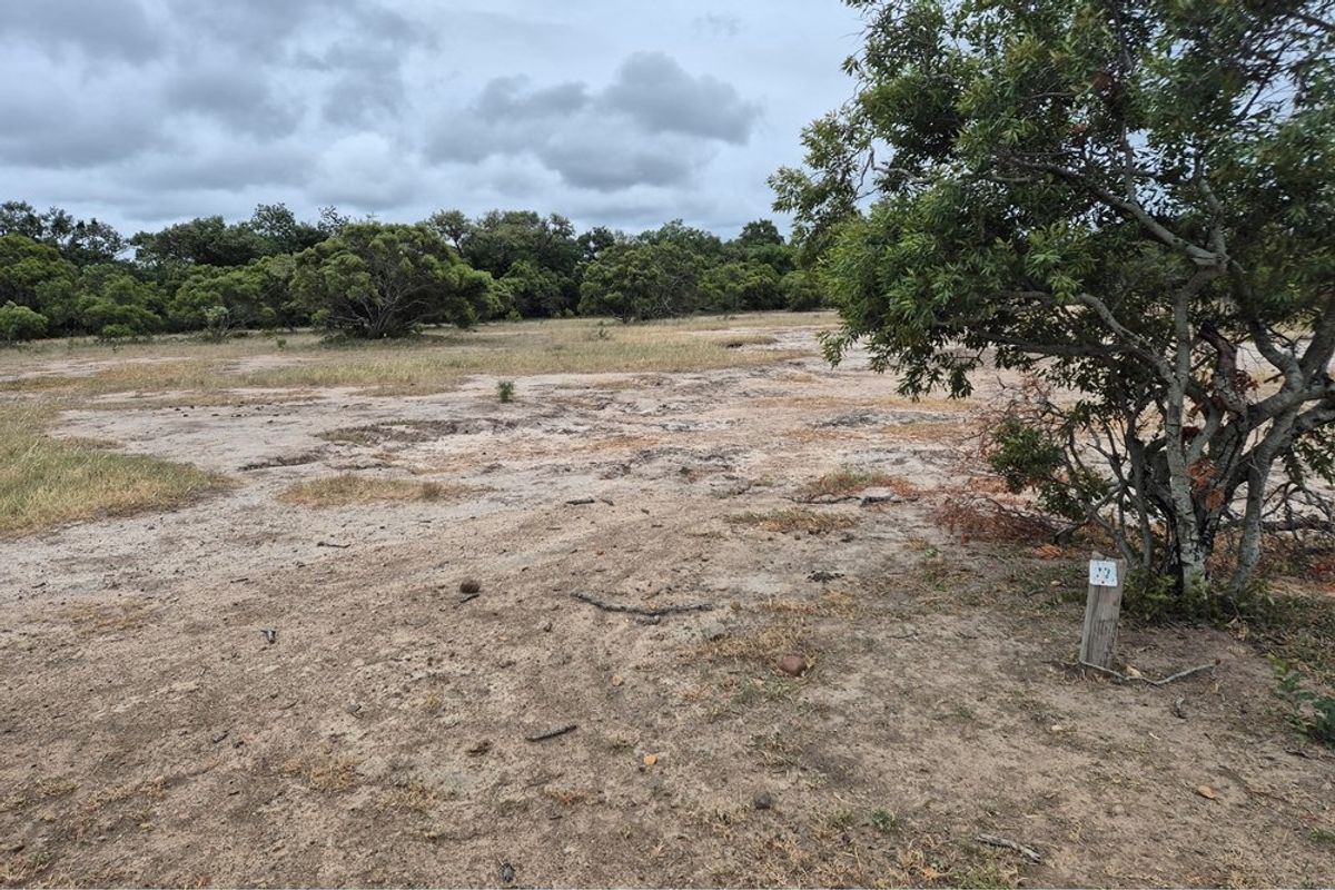 Vacant Land For Sale in Hoedspruit - Photo 4