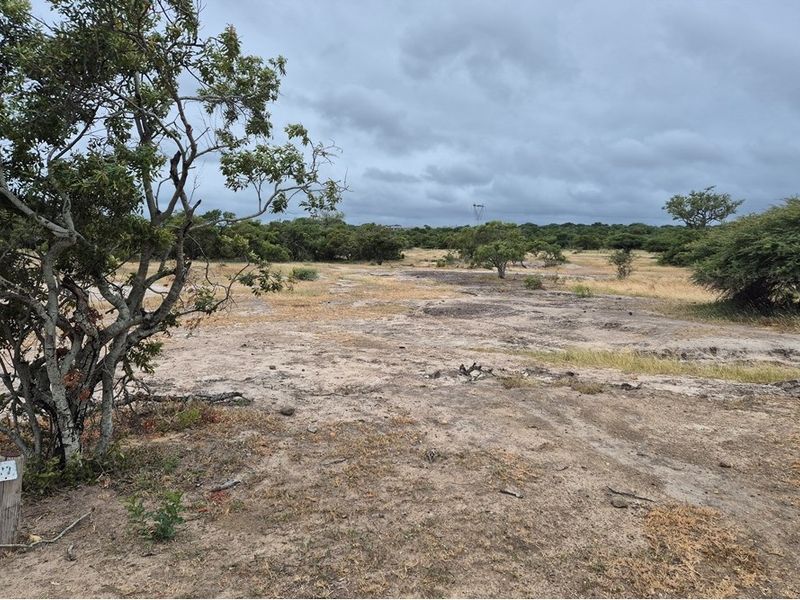 Vacant Land For Sale in Hoedspruit - Photo 5