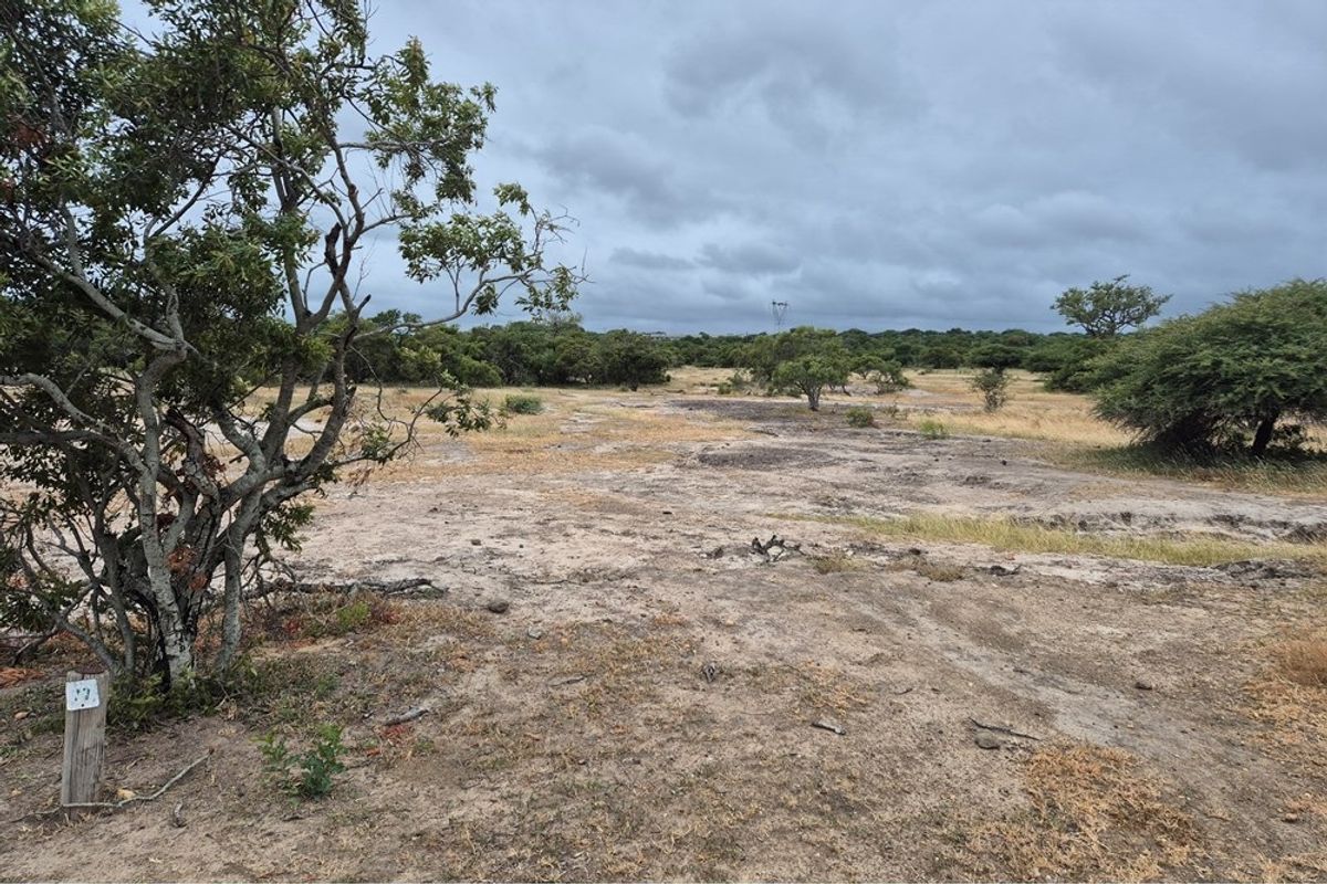 Vacant Land For Sale in Hoedspruit - Photo 5