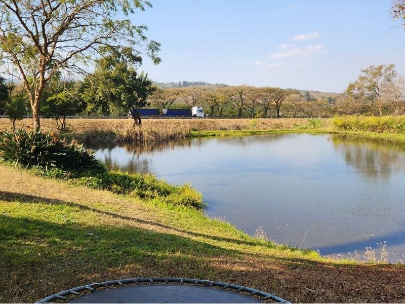 A scenic view of a natural pond set within the farm grounds, offering a peaceful outdoor landscape.