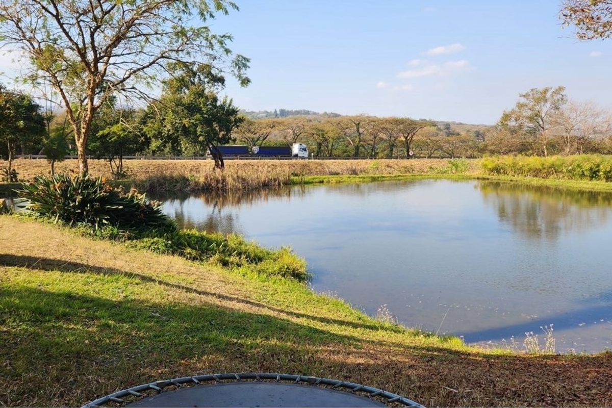 A scenic view of a natural pond set within the farm grounds, offering a peaceful outdoor landscape.
