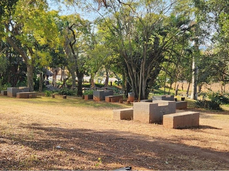 A spacious, tree-lined garden area featuring permanent built-in concrete seating, offering a natural and tranquil outdoor setting on the farm property.