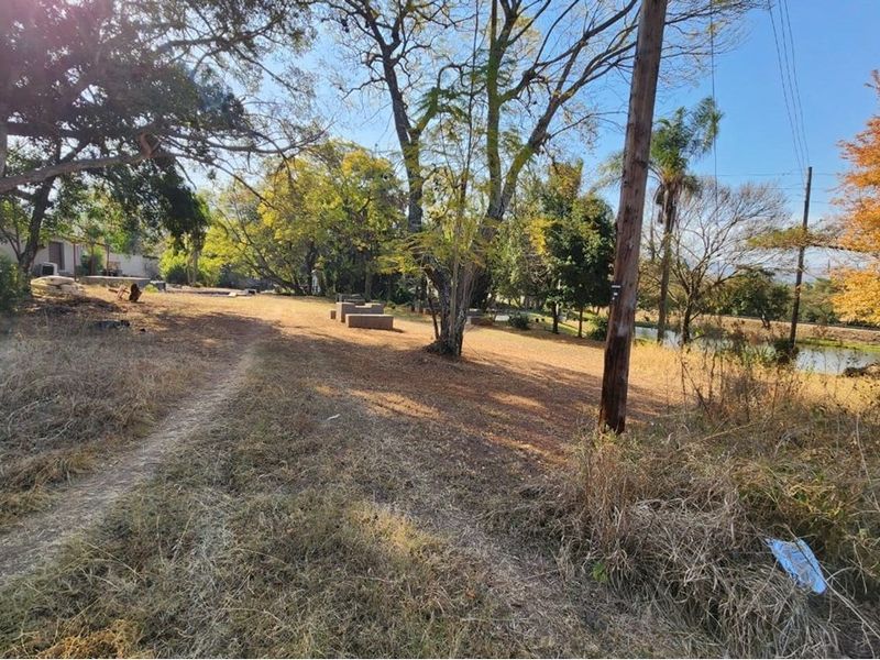 A spacious, natural farm garden area featuring mature trees, open grass, and a view towards a small water feature on the property.