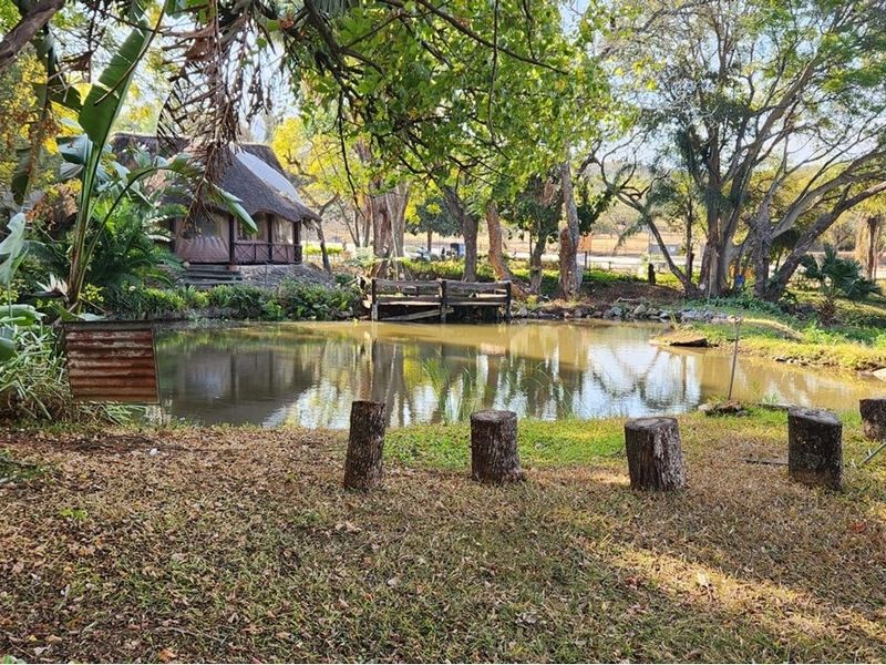 A scenic farm garden featuring a natural pond, a small wooden jetty, and a distant thatched-roof structure surrounded by mature trees.