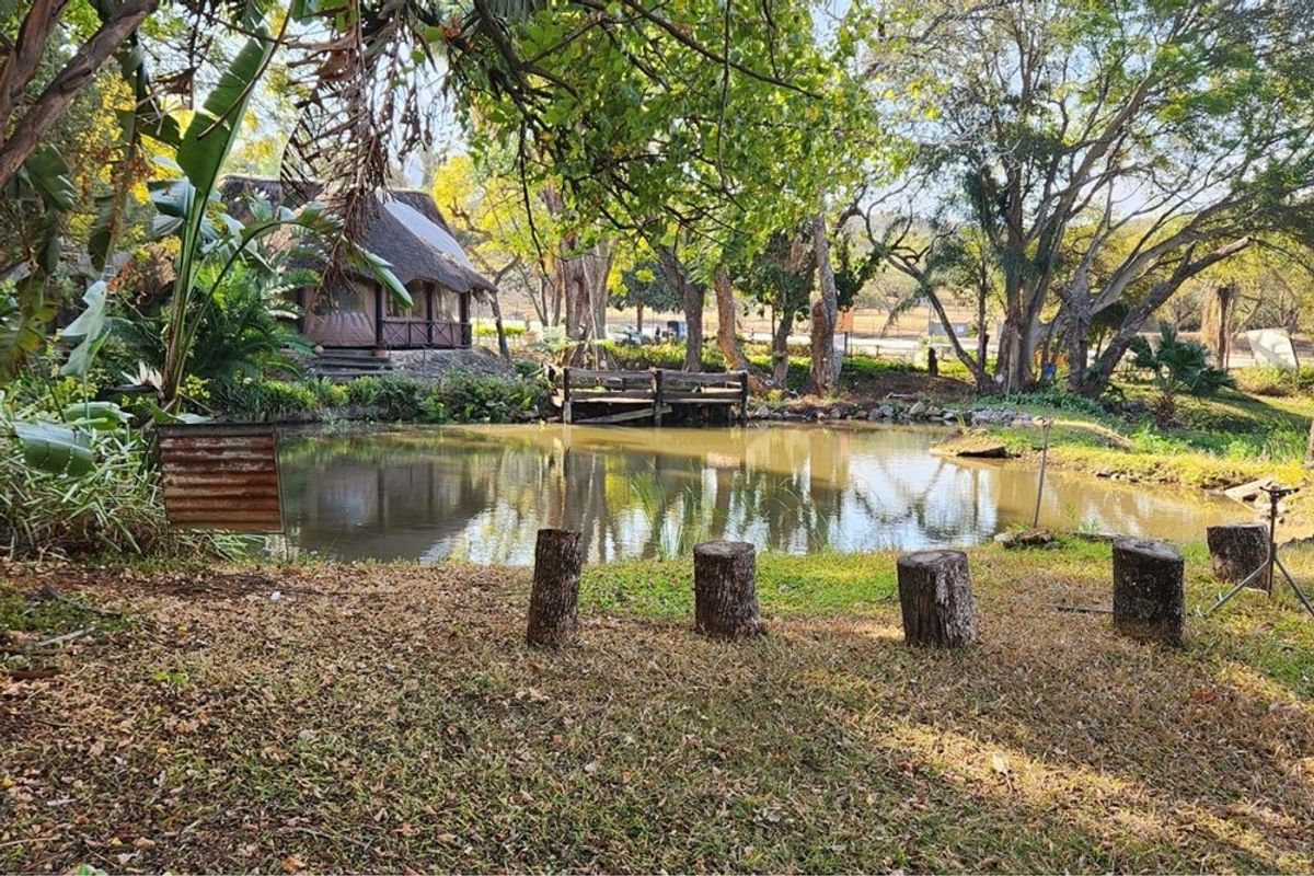 A scenic farm garden featuring a natural pond, a small wooden jetty, and a distant thatched-roof structure surrounded by mature trees.