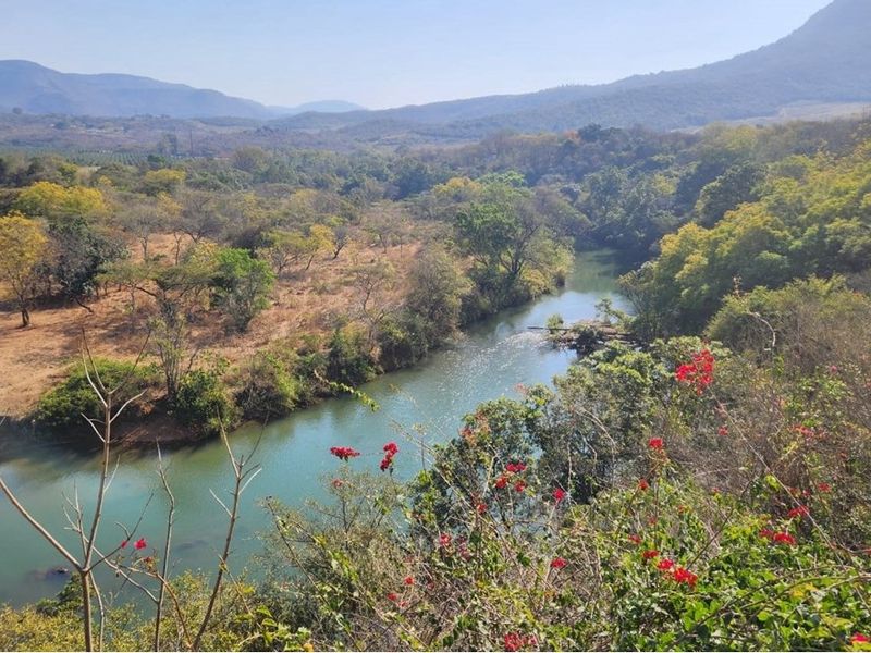 A scenic landscape view overlooking a river winding through natural vegetation and rolling hills on the farm property.