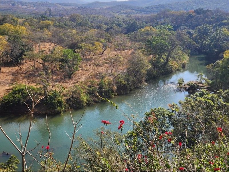 A scenic elevated view overlooking a tranquil river winding through a lush, natural landscape with mature trees and vegetation.