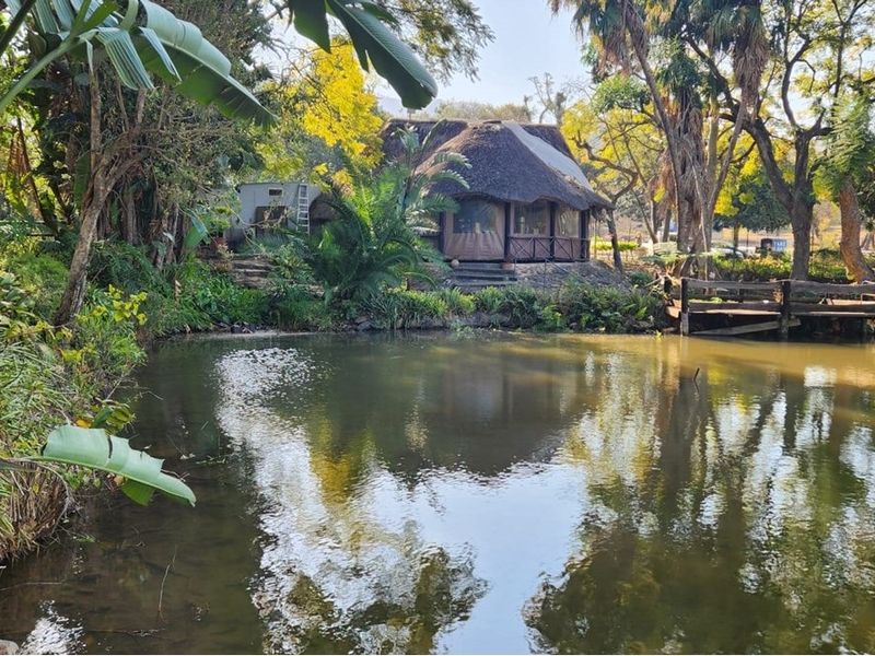 A scenic view of a thatched-roof structure situated beside a tranquil pond, featuring a wooden deck and lush surrounding garden landscape.