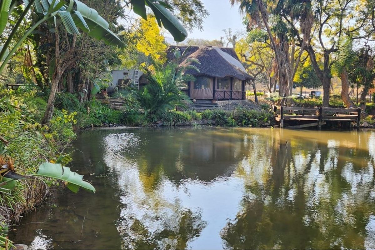 A scenic view of a thatched-roof structure situated beside a tranquil pond, featuring a wooden deck and lush surrounding garden landscape.