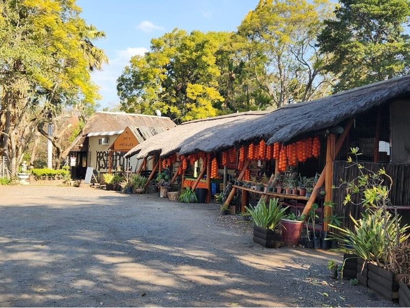 Exterior view of a rustic farm-style building featuring a traditional thatch roof, timber support structures, and a gravel driveway area.