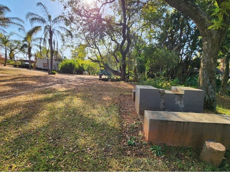A spacious, tree-lined garden area featuring a built-in concrete braai, offering a natural and tranquil outdoor setting on the farm property.