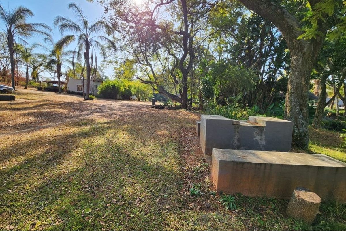 A spacious, tree-lined garden area featuring a built-in concrete braai, offering a natural and tranquil outdoor setting on the farm property.