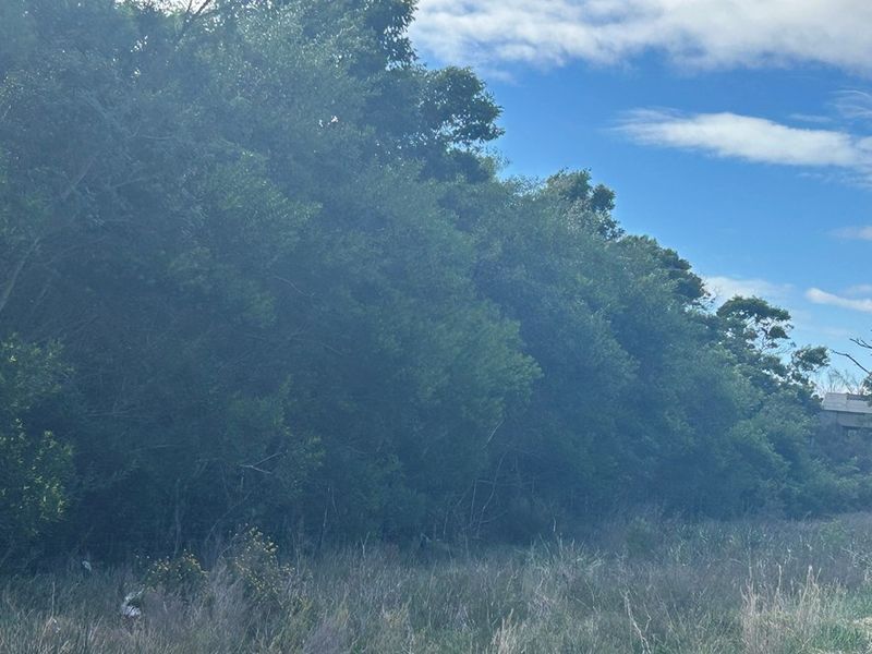 Vacant Land For Sale in Bay West, Port Elizabeth - Photo 8