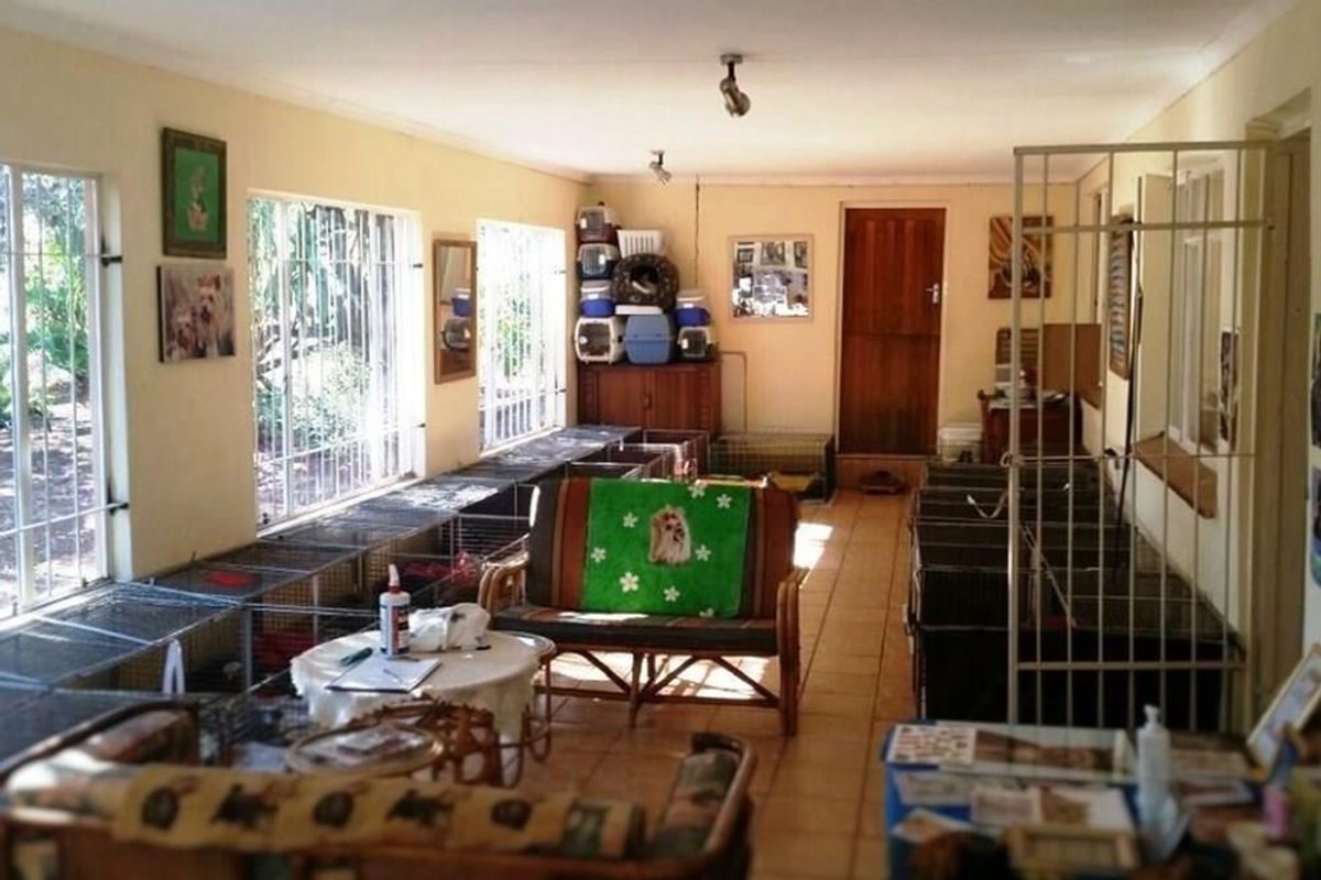 A multi-purpose interior space featuring tiled flooring, large windows with security bars, and a wooden door, currently utilized for animal housing.