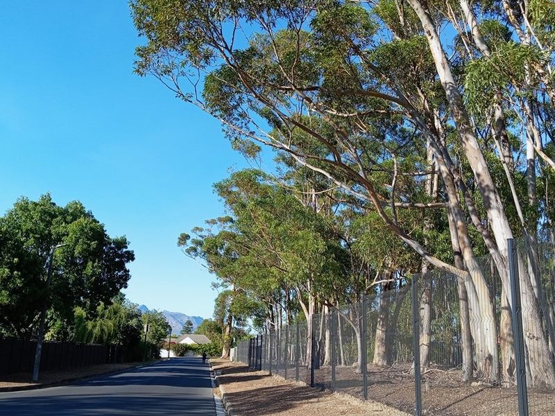 A Rare Chance to Build Two Properties on One Stand within Prime Location in Secure Estate - Photo 7