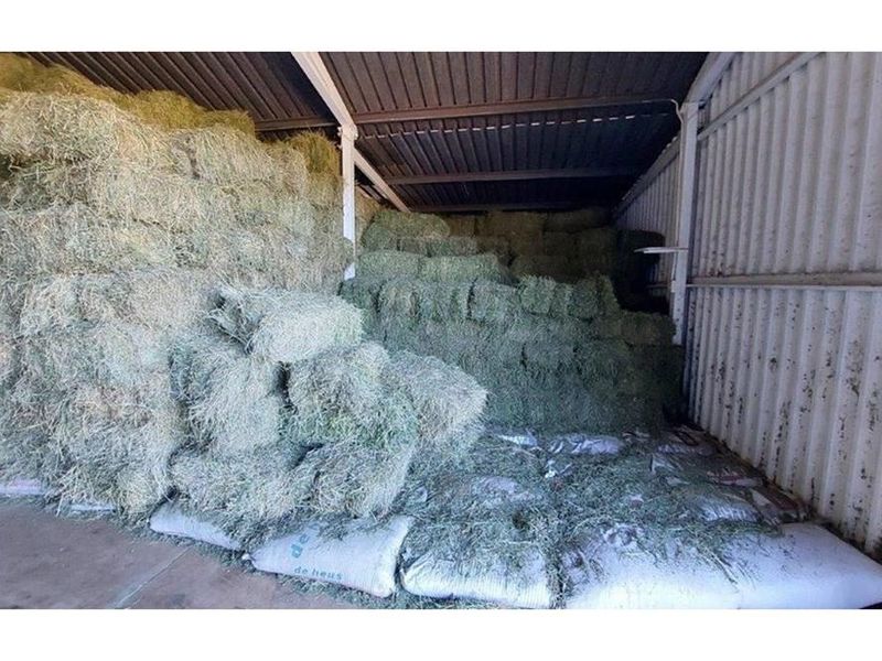 A functional farm utility space or storage shed featuring corrugated metal walls, a metal roof, and a concrete floor, currently used for hay storage.