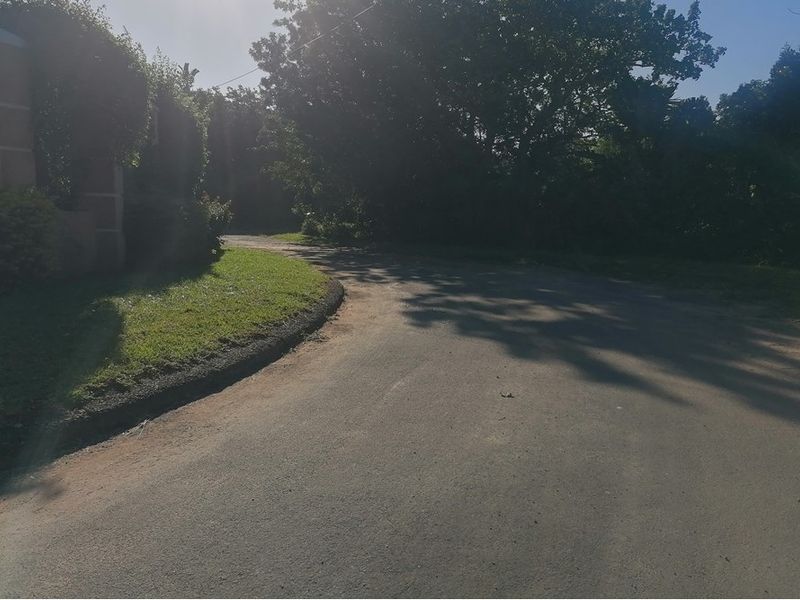 A view of the paved street approach leading to the residential property, featuring mature trees and landscaped verges.