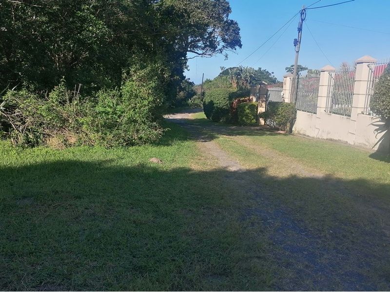 A view of the residential vacant land showing the access path, boundary wall, and surrounding vegetation.