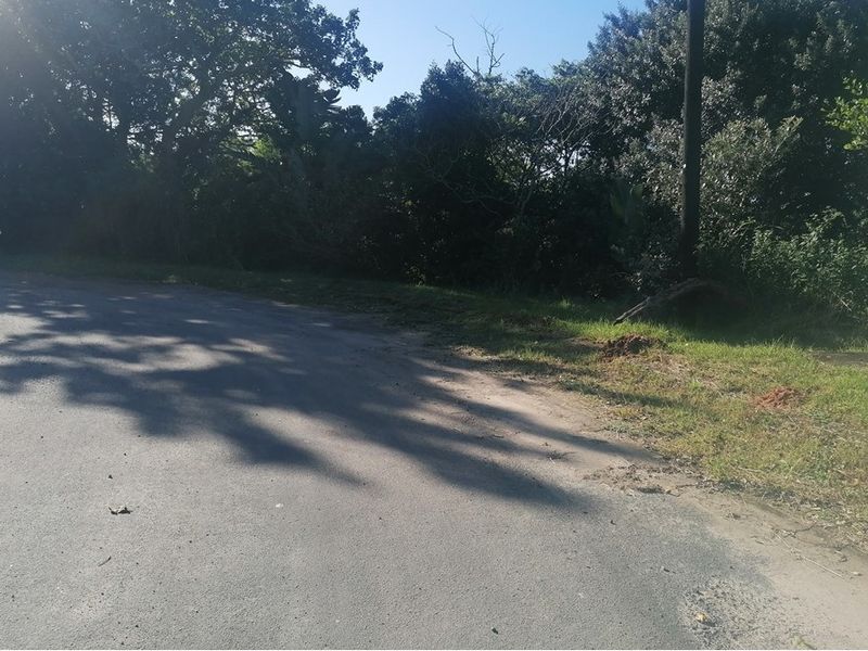 A view of the asphalt road and verge adjacent to the vacant residential land, featuring mature trees and a utility pole.