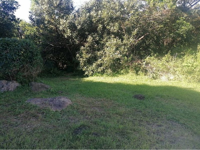 A view of the residential vacant land featuring a grass lawn, mature trees, and natural rock formations.
