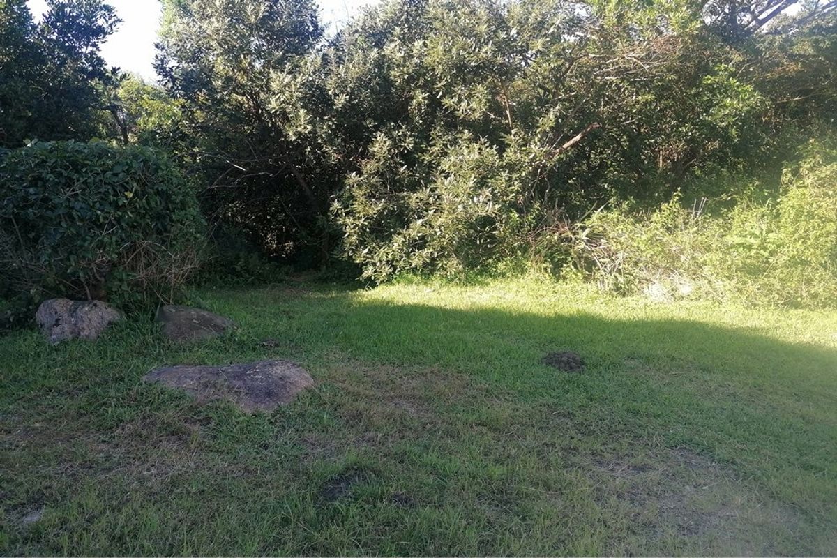 A view of the residential vacant land featuring a grass lawn, mature trees, and natural rock formations.