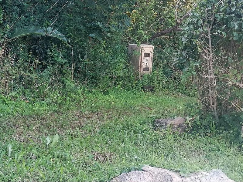 A view of a residential plot featuring overgrown vegetation and a fixed electrical utility box.