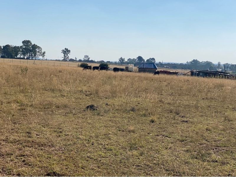 Vacant Land For Sale in Henley On Klip, Meyerton - Photo 3