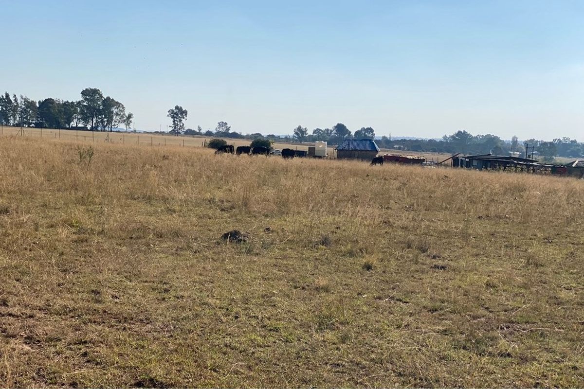 Vacant Land For Sale in Henley On Klip, Meyerton - Photo 3