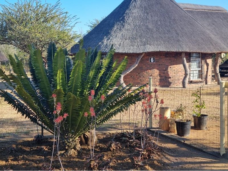 Farm For Sale in Rondebosch, Louis Trichardt - Photo 7