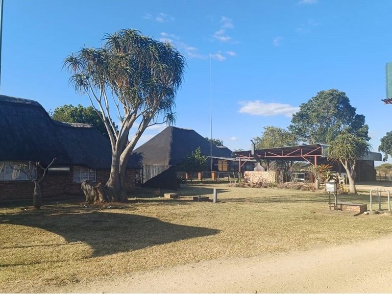 Farm For Sale in Rondebosch, Louis Trichardt - Photo 5