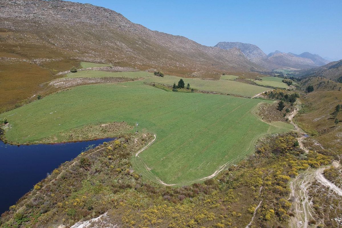 Farm For Sale in Riversdale Rural, Riversdale - Photo 5