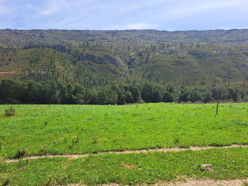 Farm For Sale in Riversdale Rural, Riversdale - Photo 6