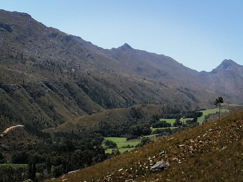 Farm For Sale in Riversdale Rural, Riversdale - Photo 1