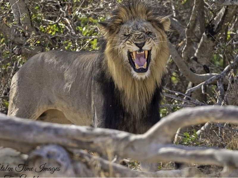 Vacant Land For Sale in Hoedspruit - Photo 9