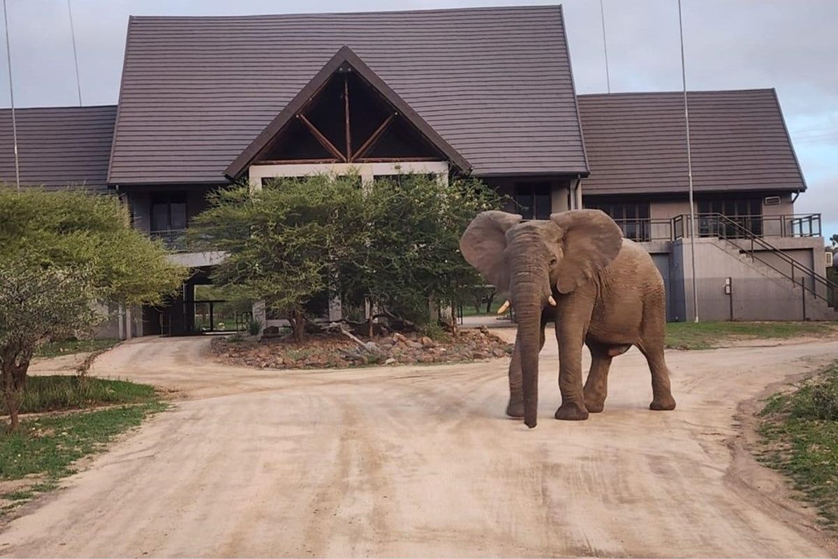 Vacant Land For Sale in Hoedspruit - Photo 3