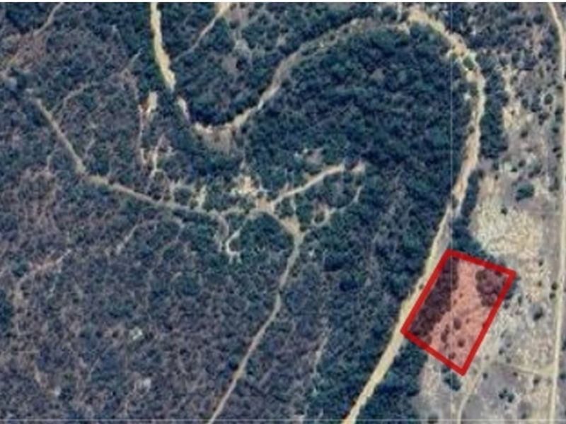 Vacant Land For Sale in Hoedspruit - Photo 2