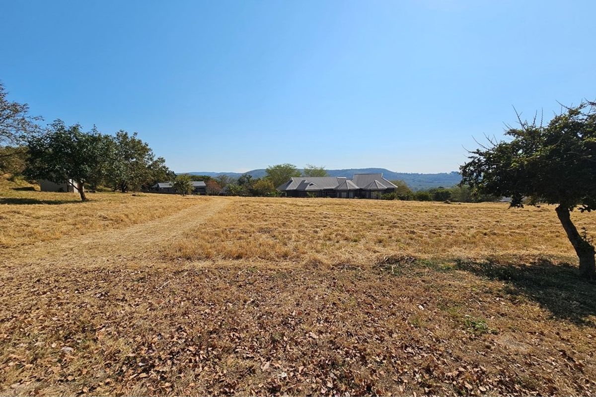 A wide-angle view of a large, open residential vacant land plot featuring dry grass, mature trees, and distant mountain views.