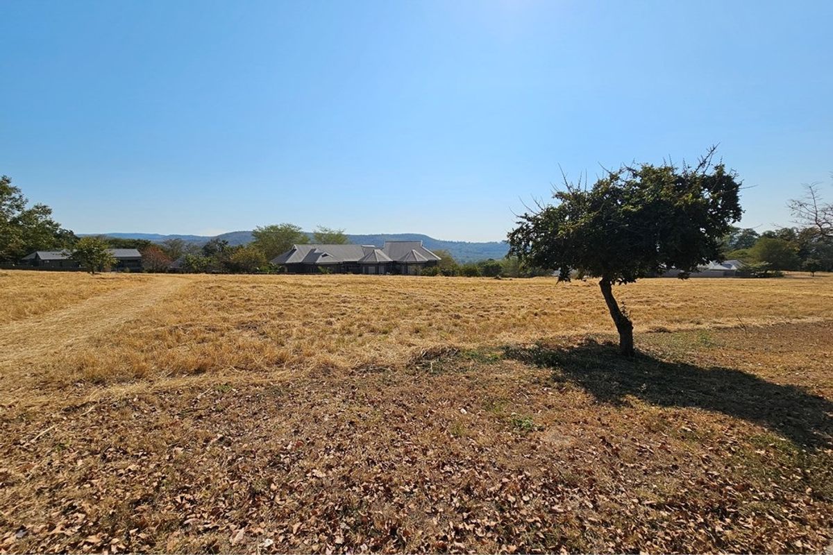 A wide-angle view of a vacant residential plot featuring dry grass, mature trees, and distant mountain views in a peaceful estate setting.