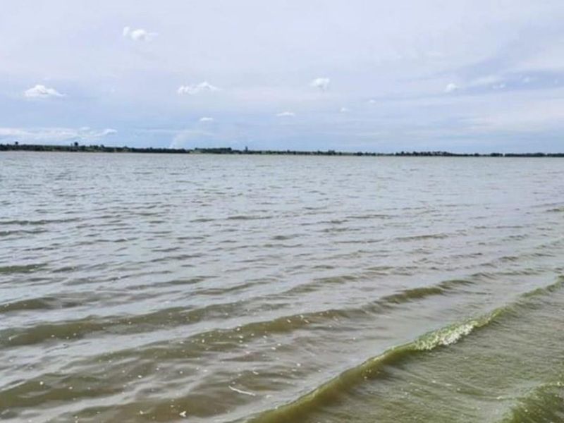 Vacant Land For Sale in Deneysville - Photo 2