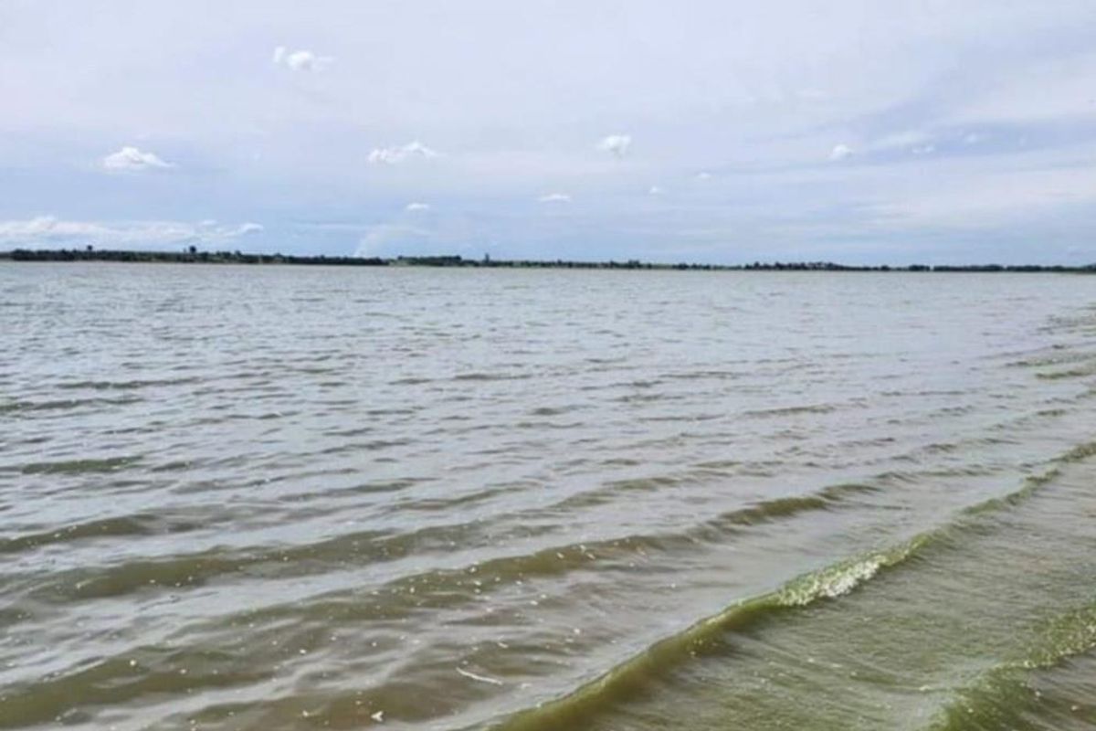 Vacant Land For Sale in Deneysville - Photo 2