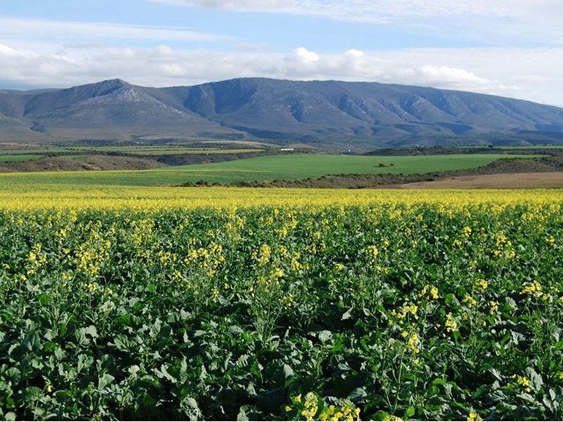 600 sqm Vacant Land For Sale in Heidelberg Central, Heidelberg - Photo 6